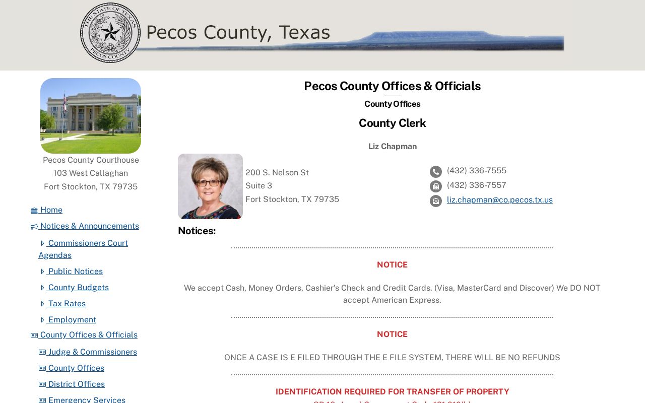 Pecos County misdemeanor court case clerk and payment page